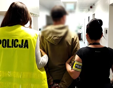 Miniatura: Nożownik na terenie uczelni. Niebezpieczny...