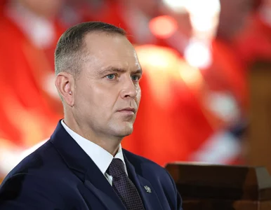 Miniatura: Karol Nawrocki zawetował trzy kolejne...
