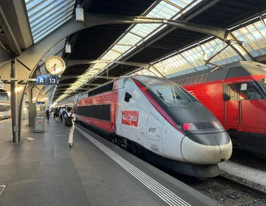 Miniatura: Strefa bez dzieci w europejskim pociągu....