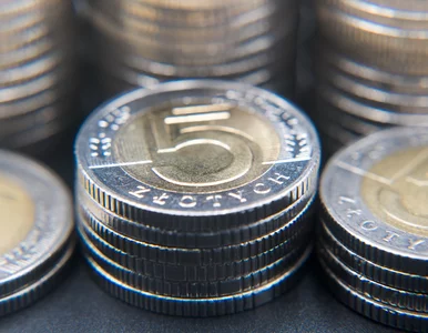 Miniatura: Nowa moneta 5 zł już w obiegu! Sprawdź,...