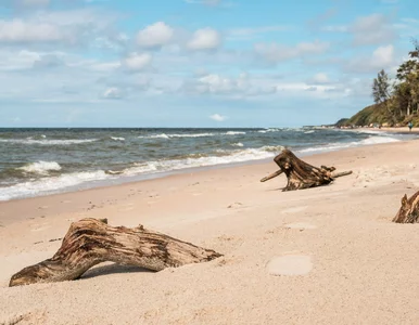 Miniatura: Alarm na plaży w Ustce. Pijany mężczyzna...