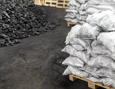 Miniatura: Węgiel znów z dopłatą? Rząd rozważa powrót...