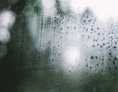 Miniatura: Masz krople wody na oknach? To pierwszy...