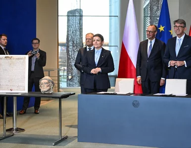 Miniatura: Gest Niemiec na konsultacjach...