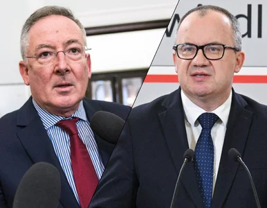 Miniatura: Polityk KO nie zostawił suchej nitki na...