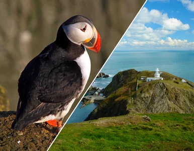 Miniatura: Europejska wyspa zachwyca spokojem....