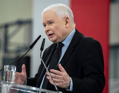 Miniatura: Jarosław Kaczyński miał dość tiktokerki....