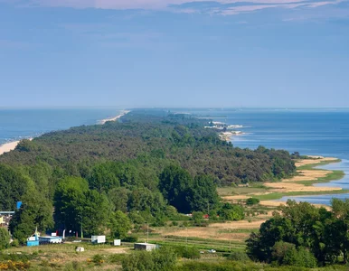 Miniatura: Rewilding Bałtyku. Rusza projekt w Zatoce...