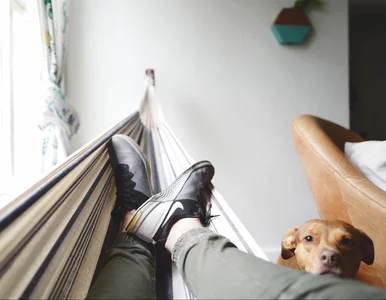 Miniatura: Oto kalendarz dni wolnych od pracy w 2026...