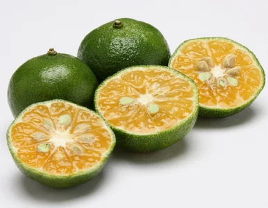 Miniatura: Jedzą go stulatkowie z Okinawy. Ten...