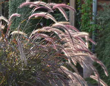 Miniatura: Nie popełnij tego błędu w marcu! Tak...