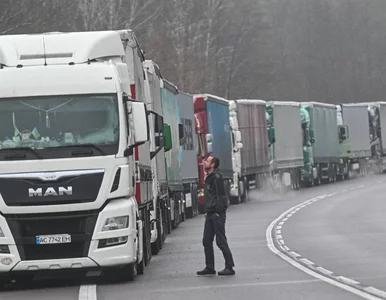 Miniatura: Korek na 24 kilometry. To efekt...