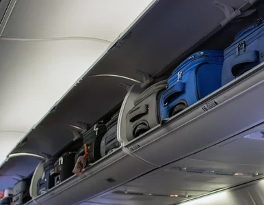 Miniatura: Bagaż do Polski wróci za połowę ceny. Ta...