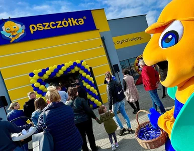 Miniatura: Pszczółka rusza na podbój rynku. „Będziemy...