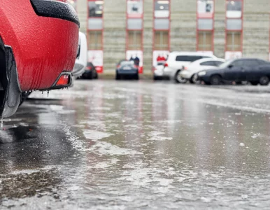 Miniatura: Marznące opady w sporej części kraju. IMGW...