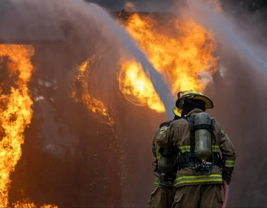 Miniatura: Płonie wielki zakład przy S7. Służby nie...