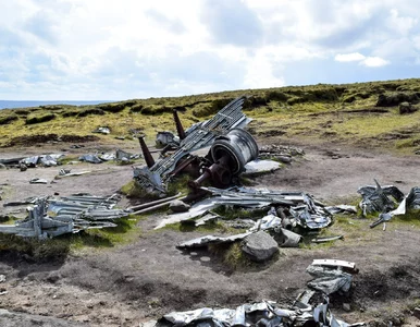 Miniatura: Samolot z turystami runął na ziemię. 12...