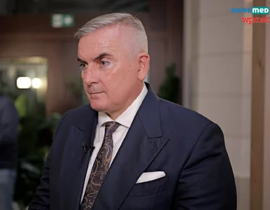 Miniatura: Prof. Targowski: Mamy bezpieczne i...