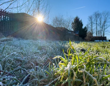 Miniatura: Śnieg, mgły i... 12 stopni Celsjusza....