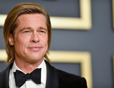 Miniatura: Brad Pitt oskarżony o przywłaszczenie 40...