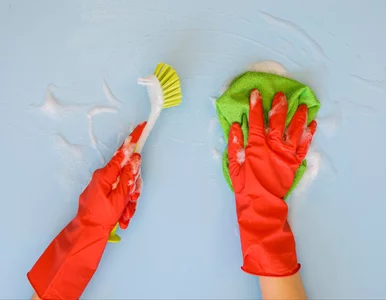 Miniatura: Pleśń na suficie? Nie ignoruj jej!...