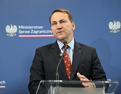 Miniatura: Orban z wizytą w Polsce. Wymowna reakcja...