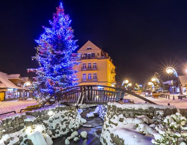 Miniatura: Przygotowania ruszyły. Tak ma wyglądać...