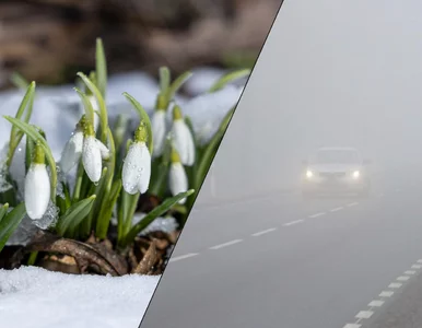 Miniatura: Temperatury w górę, ale aura wciąż...