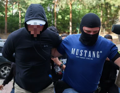 Miniatura: Będzie przełom ws. afery Zondacrypto?...