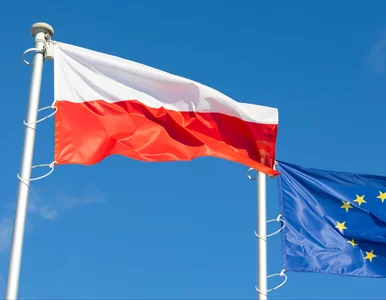 Miniatura: Przestańmy narzekać, że apka „nie działa”....