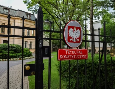 Miniatura: Polityczny transfer do Trybunału...