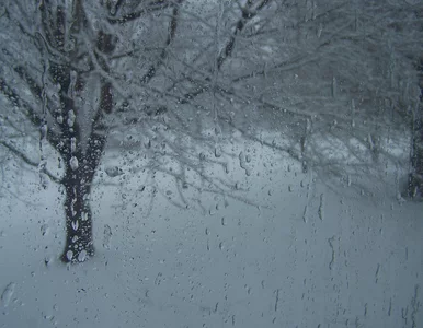 Miniatura: Tak wir polarny wpłynie na zimę w Polsce....