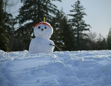 Miniatura: Pogoda na Święta Bożego Narodzenia. Wtedy...