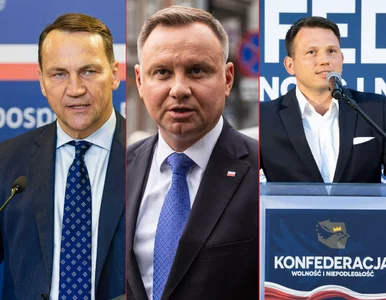 Miniatura: Mentzen premierem? Polacy wskazali kogo...