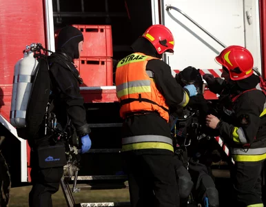 Miniatura: Usiłował przepłynąć jezioro, nie żyje....