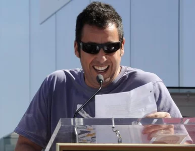 Miniatura: Adam Sandler - najgorszy aktor 2011 roku?