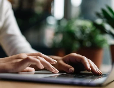 Miniatura: Firmy zaczynają szukać integratorów. Do...