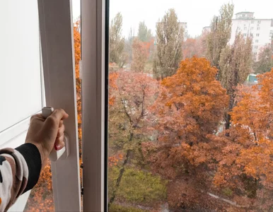 Miniatura: Myślisz, że wietrzysz dla zdrowia?...