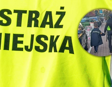 Miniatura: Płakał, nie wiedział, gdzie jest. 8-latek...