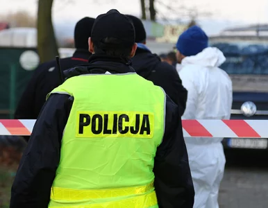 Miniatura: Zaginięcie dyrektora NCBiR. Pilny...