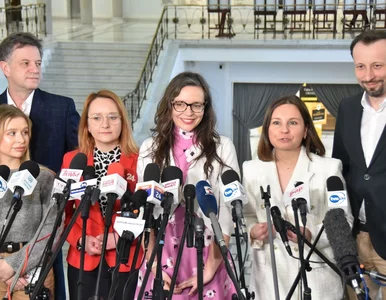 Miniatura: Posłanka KO chce odważnych zmian w 800...