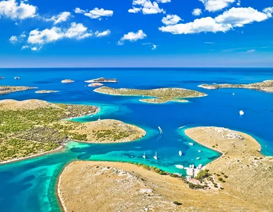 Miniatura: Jadowita ryba w uwielbianym parku...