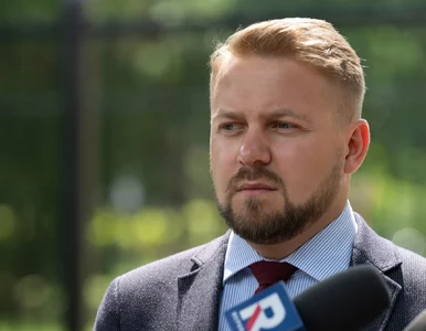 Miniatura: Sąd Najwyższy zdecydował, Ozdoba grzmi:...