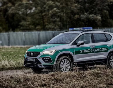 Miniatura: Ile wniosków o azyl złożono w Polsce w tym...