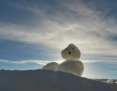 Miniatura: Prognoza na Święta Bożego Narodzenia....