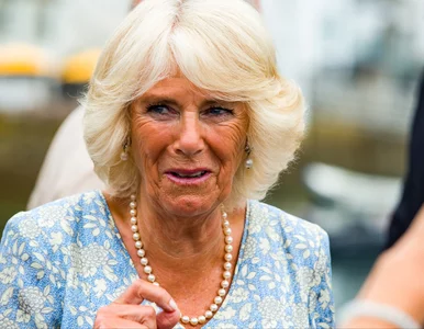 Miniatura: Ostre słowa księcia Harry'ego. Tak miał...