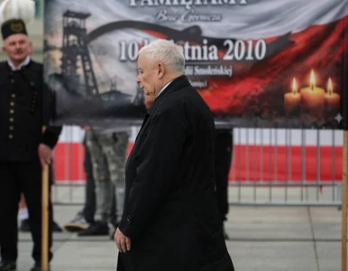 Miniatura: Jarosław Kaczyński wygwizdany podczas...