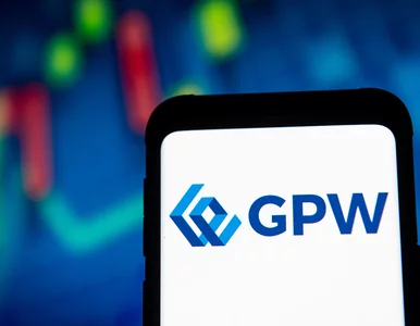 Miniatura: 35 lat polskich inwestycji