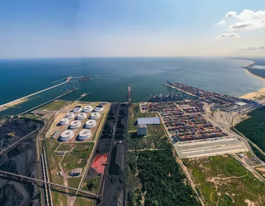 Miniatura: Lista 200 największych polskich firm. Duże...