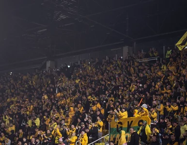 Miniatura: To historia mrożąca krew w żyłach. W tle...